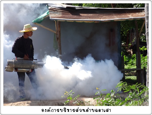 ป้องกันไข้เลือดออก&#8207; 